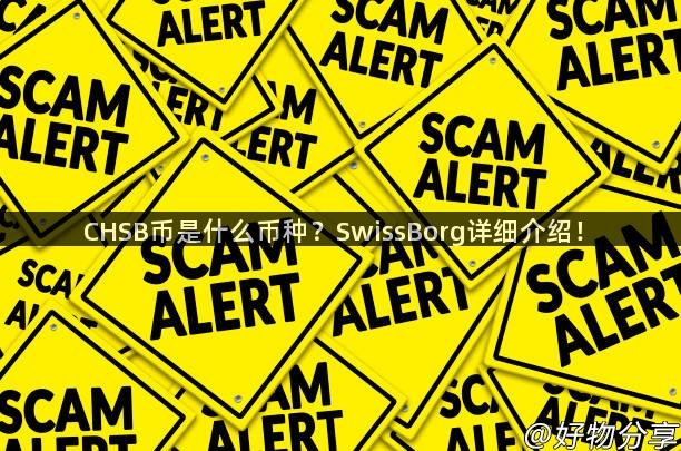 CHSB币是什么币种？SwissBorg详细介绍！