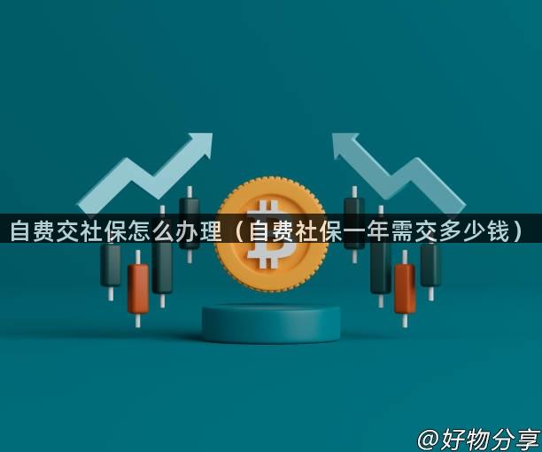 自费交社保怎么办理（自费社保一年需交多少钱）