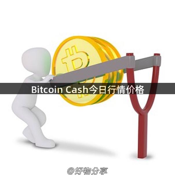 Bitcoin Cash今日行情价格