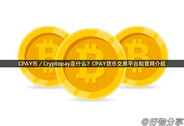 CPAY币／Cryptopay是什么？CPAY货币交易平台和官网介绍