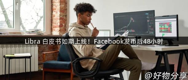 Libra 白皮书如期上线！Facebook发币后48小时