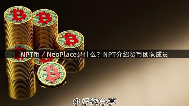 NPT币／NeoPlace是什么？NPT介绍货币团队成员