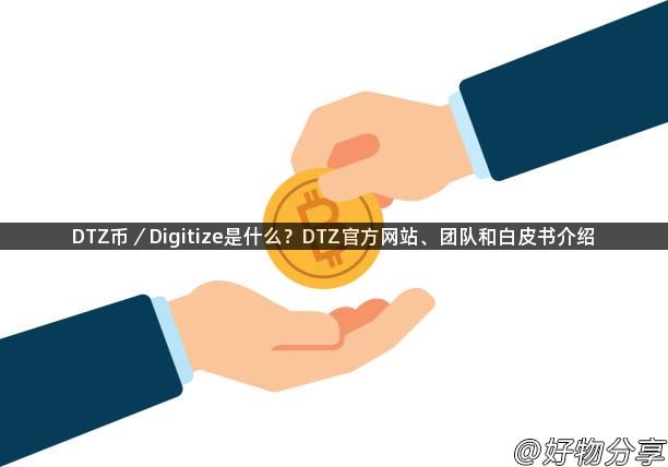 DTZ币／Digitize是什么？DTZ官方网站、团队和白皮书介绍