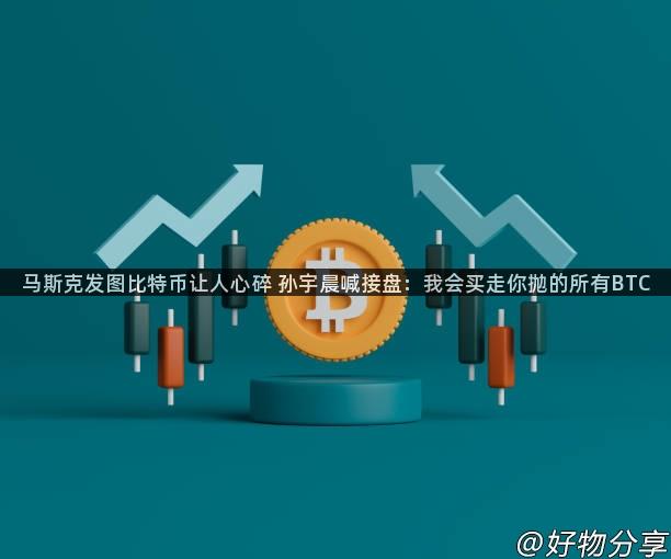 马斯克发图比特币让人心碎 孙宇晨喊接盘：我会买走你抛的所有BTC