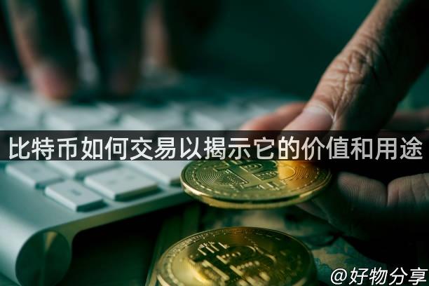 比特币如何交易以揭示它的价值和用途