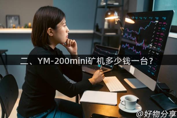 二、YM-200mini矿机多少钱一台？