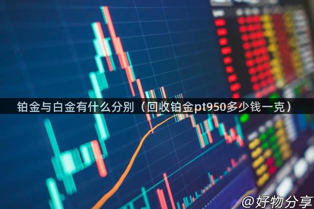 铂金与白金有什么分别（回收铂金pt950多少钱一克）