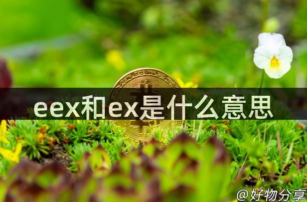 eex和ex是什么意思