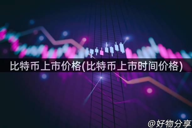 比特币上市价格(比特币上市时间价格)