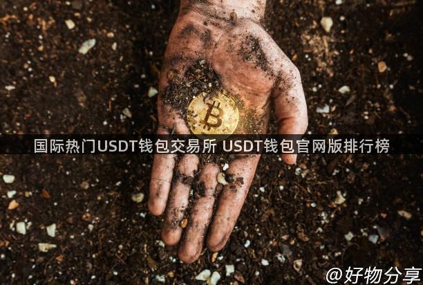 国际热门USDT钱包交易所 USDT钱包官网版排行榜