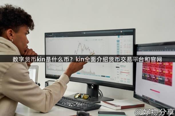 数字货币kin是什么币？kin全面介绍货币交易平台和官网