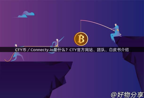 CTY币／Connecty.io是什么？CTY官方网站、团队、白皮书介绍