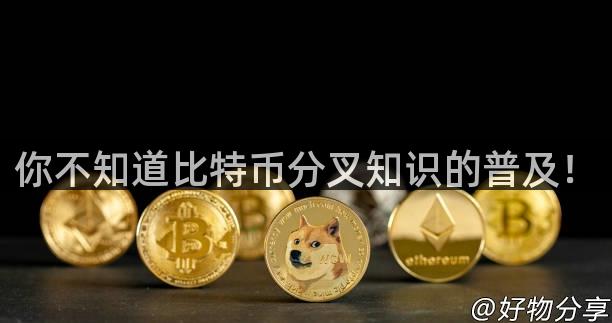 你不知道比特币分叉知识的普及！