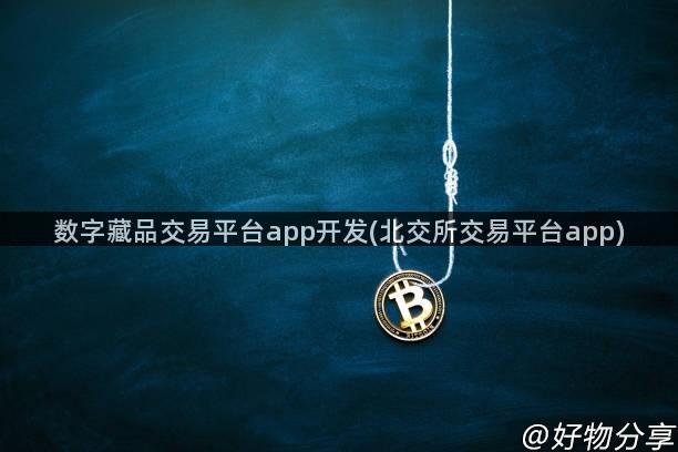 数字藏品交易平台app开发(北交所交易平台app)