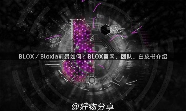 BLOX／Bloxia前景如何？BLOX官网、团队、白皮书介绍