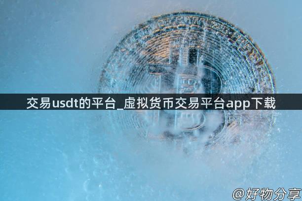 交易usdt的平台_虚拟货币交易平台app下载