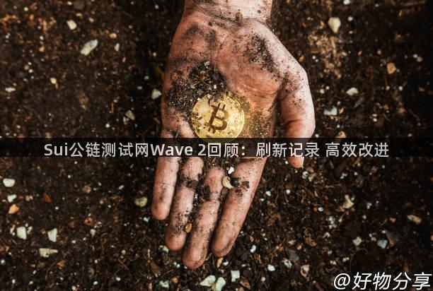 Sui公链测试网Wave 2回顾：刷新记录 高效改进