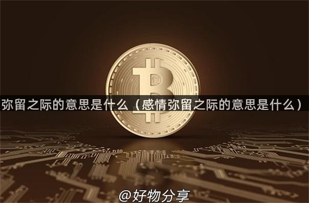 弥留之际的意思是什么（感情弥留之际的意思是什么）