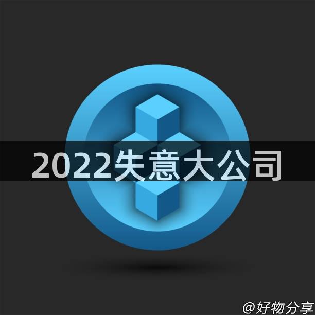 2022失意大公司