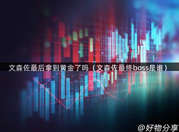 文森佐最后拿到黄金了吗（文森佐最终boss是谁）