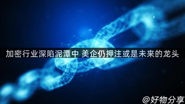 加密行业深陷泥潭中 美企仍押注或是未来的龙头