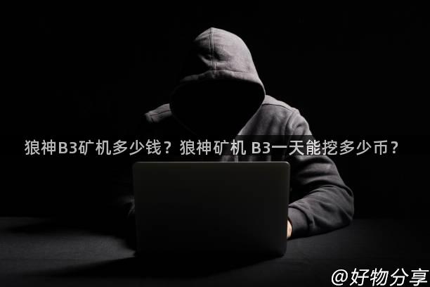 狼神B3矿机多少钱？狼神矿机 B3一天能挖多少币？