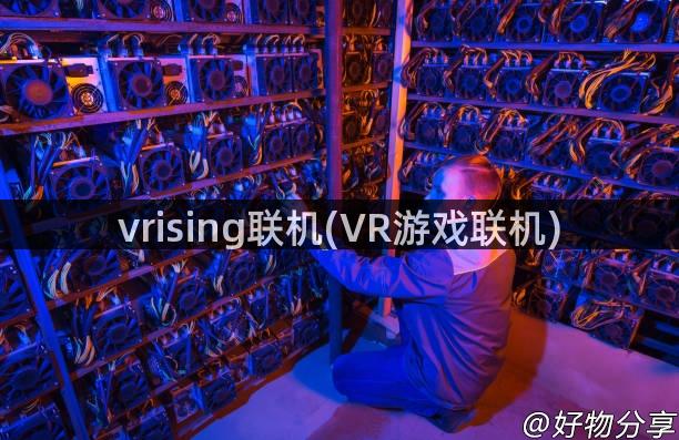 vrising联机(VR游戏联机)