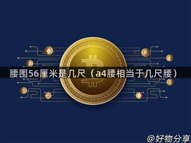 腰围56厘米是几尺（a4腰相当于几尺腰）