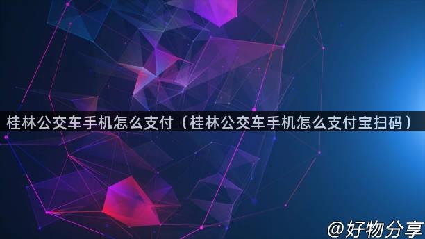 桂林公交车手机怎么支付（桂林公交车手机怎么支付宝扫码）