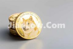 doge币交易平台怎么买入(加密货币交易平台应用解读)