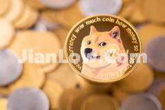 doge币合约怎么买的(数字货币交易平台火爆兴起)