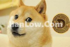 doge币怎么购买交易的(全面了解比特币交易所)