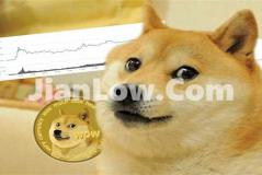 doge币杠杆交易怎么买(虚拟币交易所app大集合)