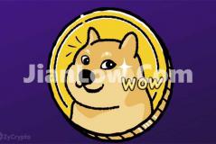 doge币平台买的怎么存储(虚拟资产交易平台app)