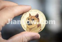 doge币怎么买卖和交易(虚拟币交易所app使用攻略分享)