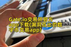 Gate.io交易所官方app下载(漏洞百出的数字币交易app)