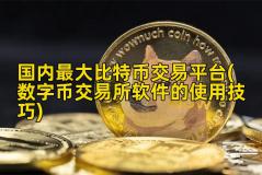 国内最大比特币交易平台(数字币交易所软件的使用技巧)