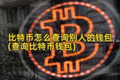 比特币怎么查询别人的钱包(查询比特币钱包)