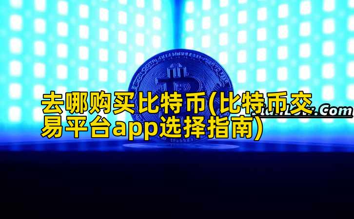 去哪购买比特币(比特币交易平台app选择指南)