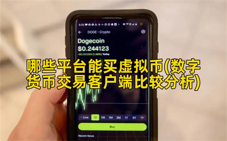 哪些平台能买虚拟币(数字货币交易客户端比较分析)