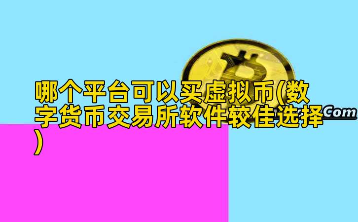 哪个平台可以买虚拟币(数字货币交易所软件较佳选择)