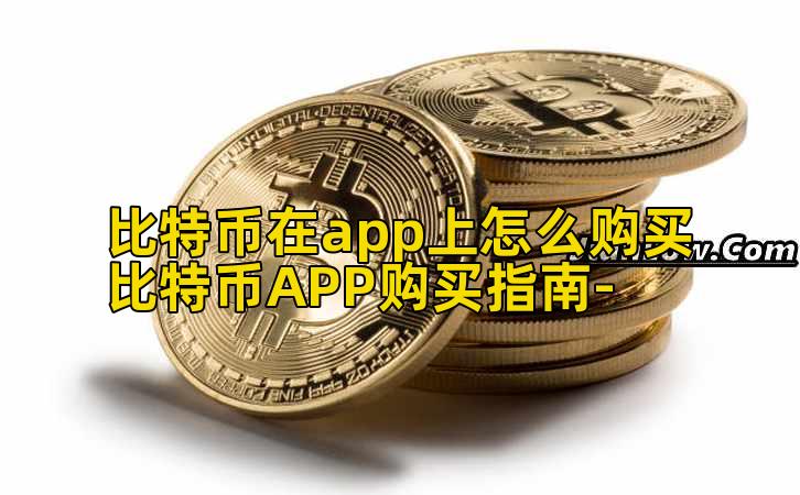 比特币在app上怎么购买比特币APP购买指南-