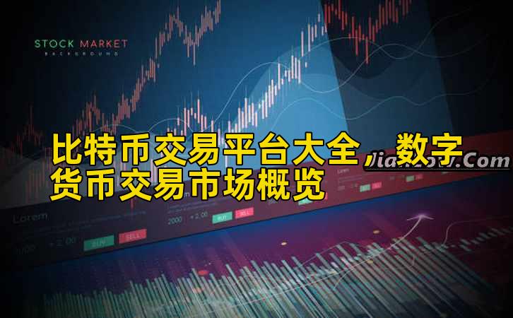 比特币交易平台大全，数字货币交易市场概览